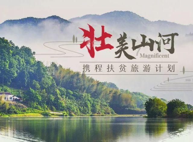 代表委员声音丨你的关注，就是他们的声音……