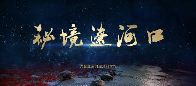6只流浪幼犬被人为掰断腿,热心女子和网友花千元救助,希望找到有爱心的主人
