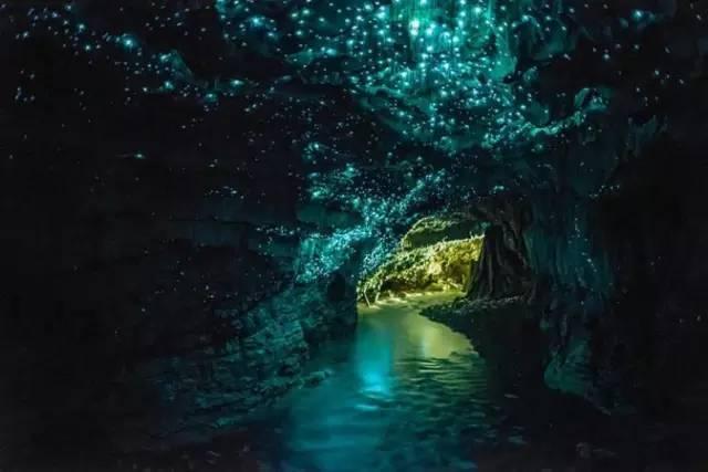 逃出奶油苹果屋